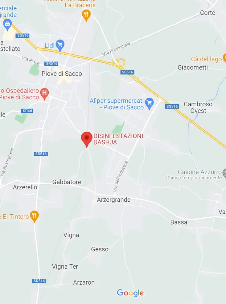 Contatti