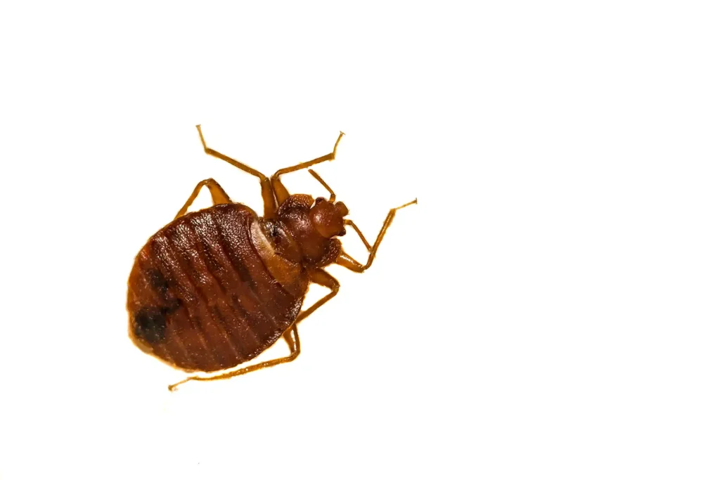 SERVIZI