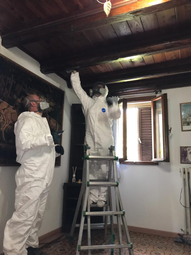 Chi siamo Intervento di disinfestazione