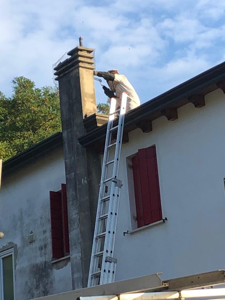Chi siamo Intervento di disinfestazione