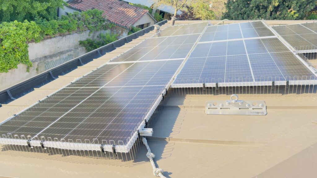 Chi siamo Pulizia pannelli fotovoltaici