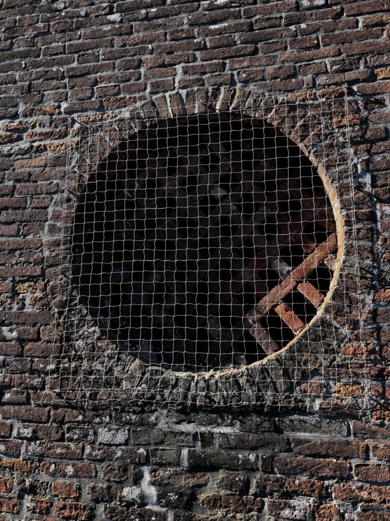 Chi siamo Rete per allontanare i piccioni