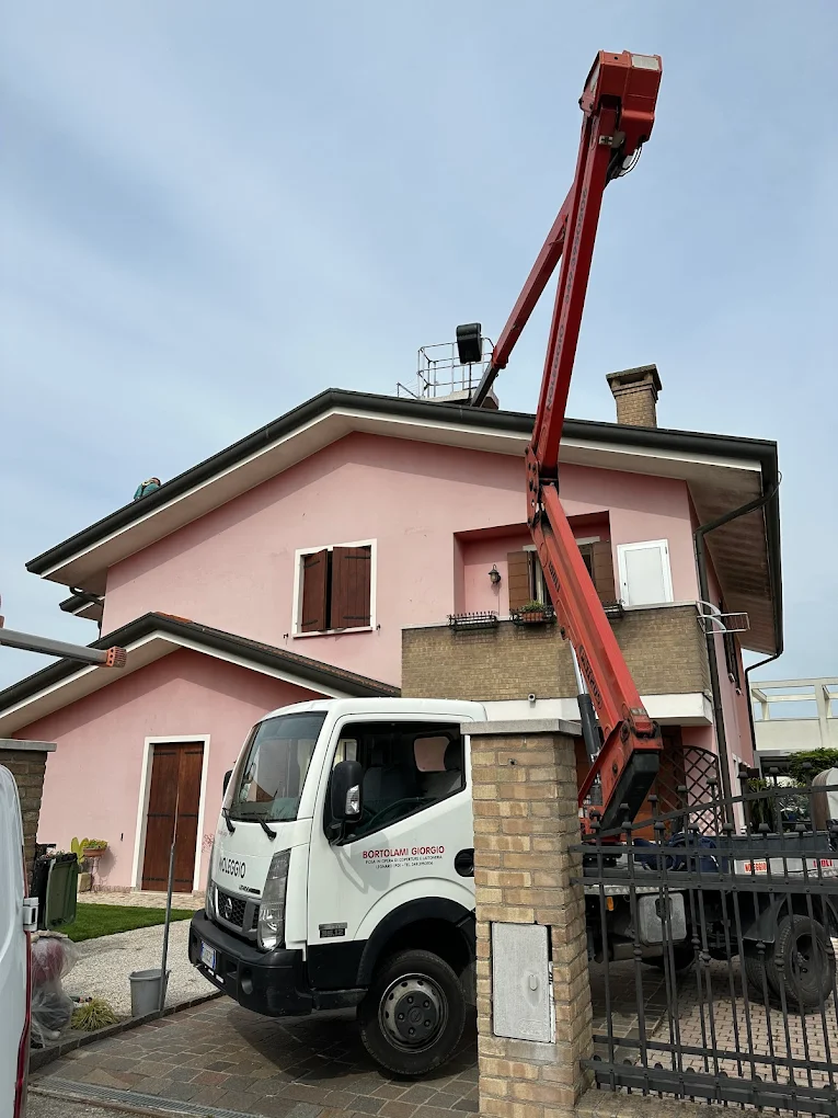 Chi siamo Lavori di disinfestazione