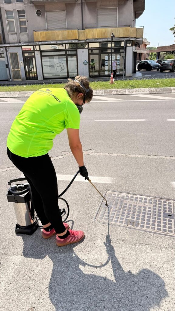 Chi siamo Interventi di disinfestazione
