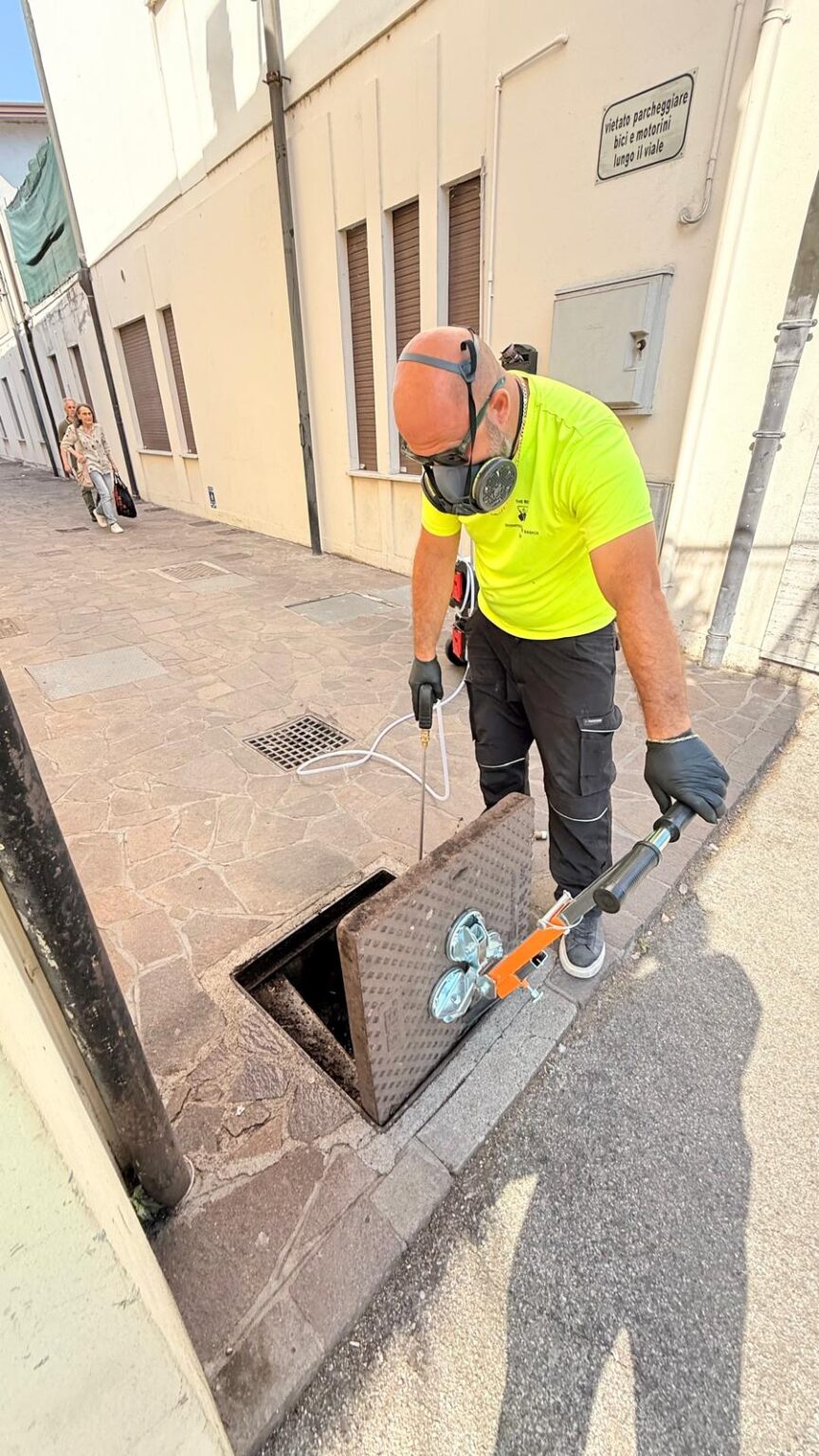 Intervento di disinfestazione